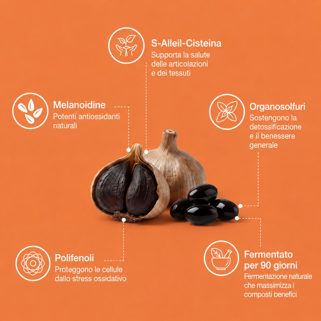 Thyraloop ® - Aglio Nero Fermentato